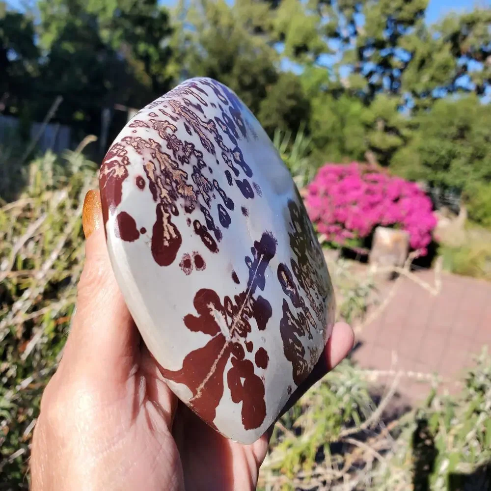 Picture Stone Jasper Dendritic Dendrite Display Freeform 706 Gram